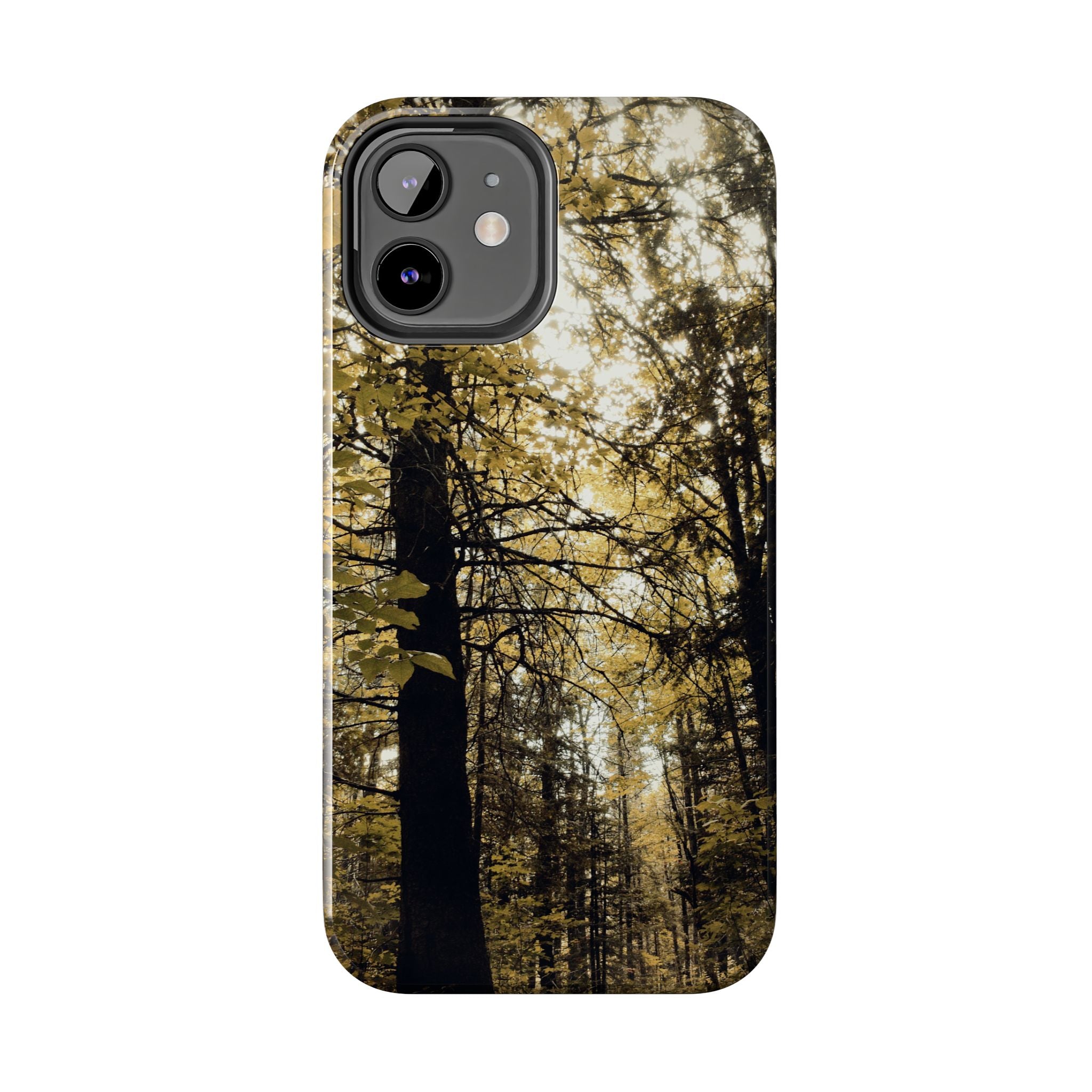 WildHooman - Forest Trail Maine- Tough Case