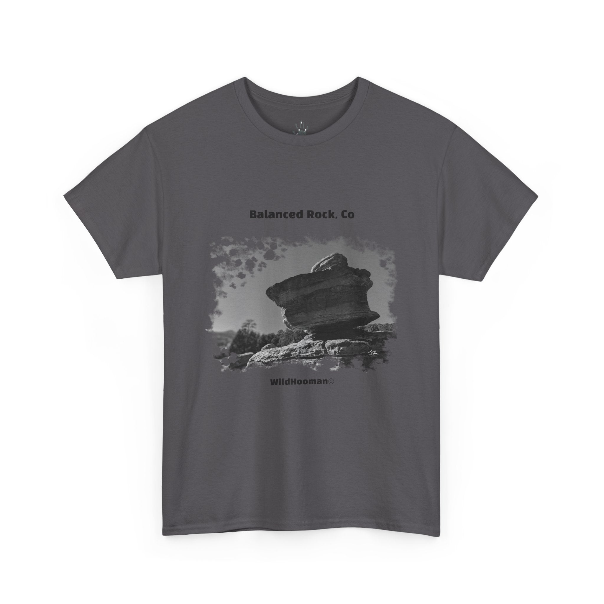 WildHooman Balanced Rock Tee — National Park Vintage Landscape T-Shirt