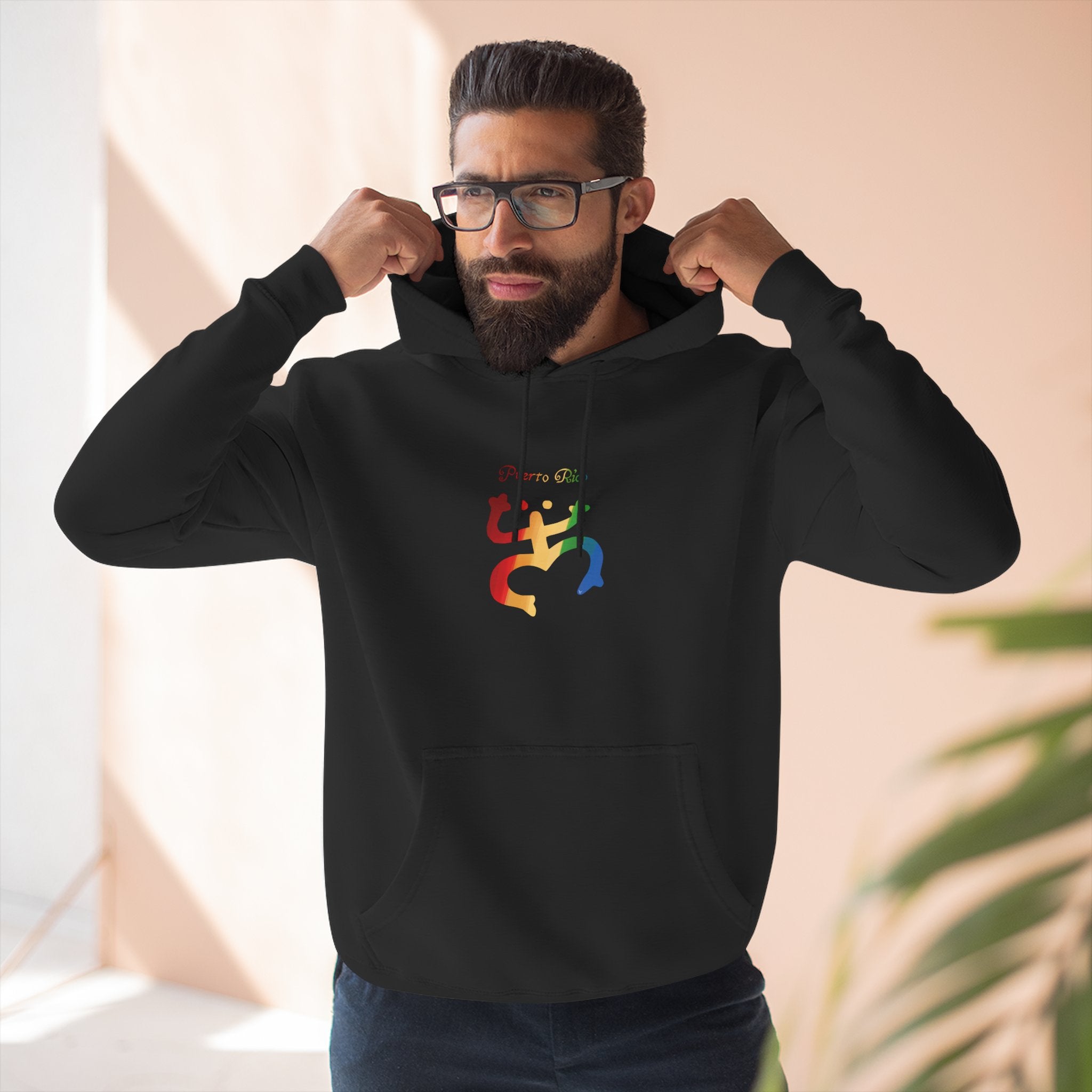 WildHooman Puerto Rico Taino Coquí Hoodie — Minimal Colorful Three-Panel Design