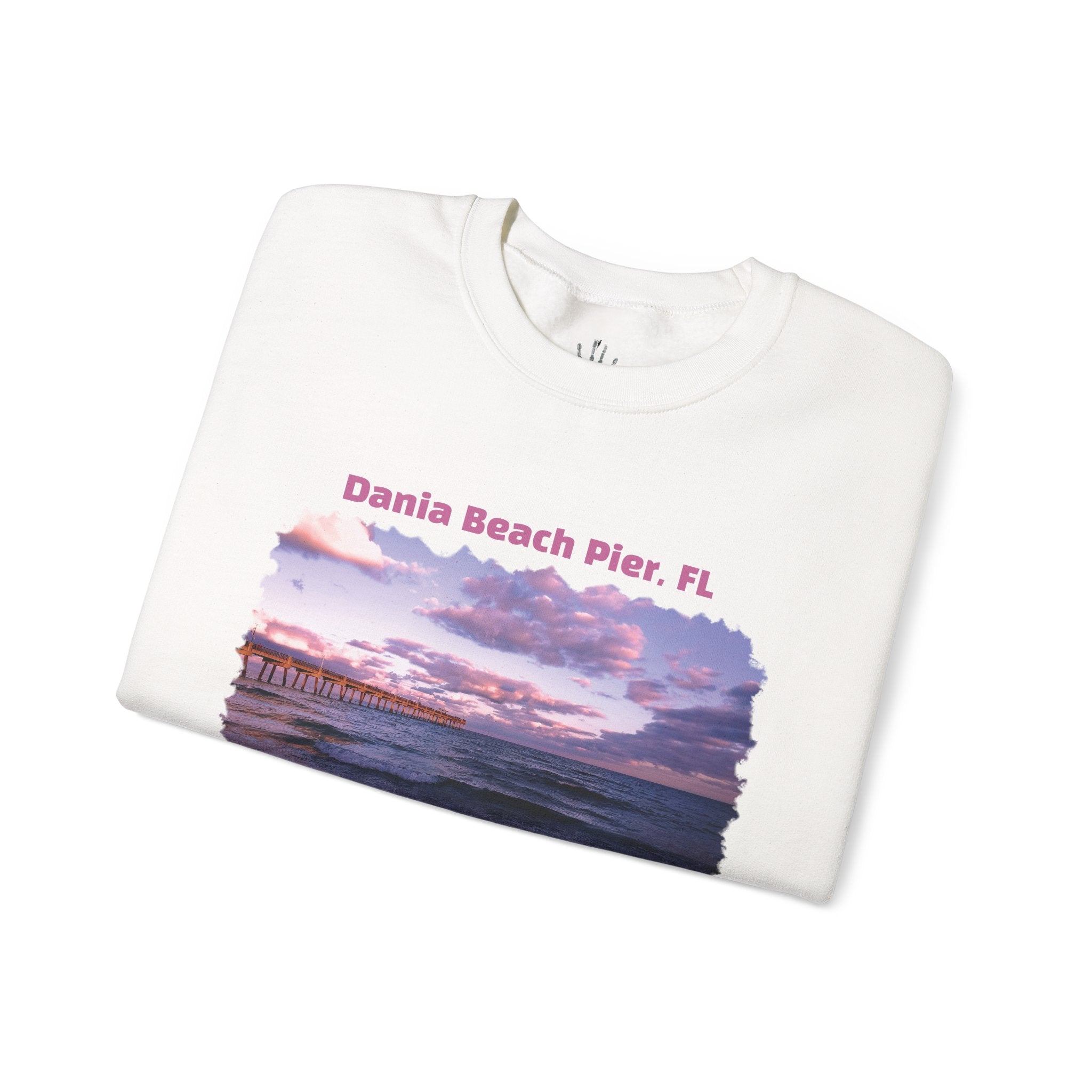 WildHooman Dania Beach FL Unisex Heavy Blend™ Crewneck Sweatshirt - WildHooman