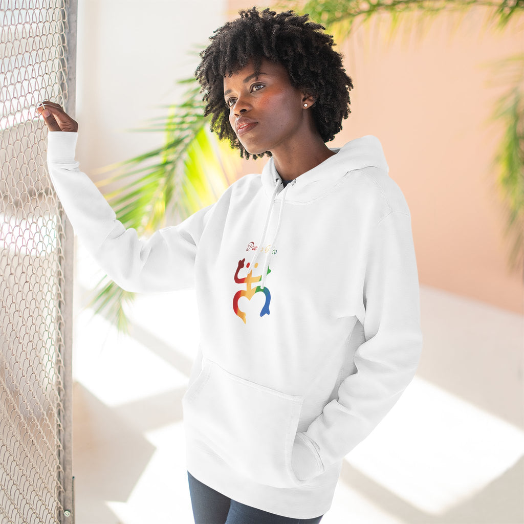WildHooman Puerto Rico Taino Coquí Hoodie — Minimal Colorful Three-Panel Design