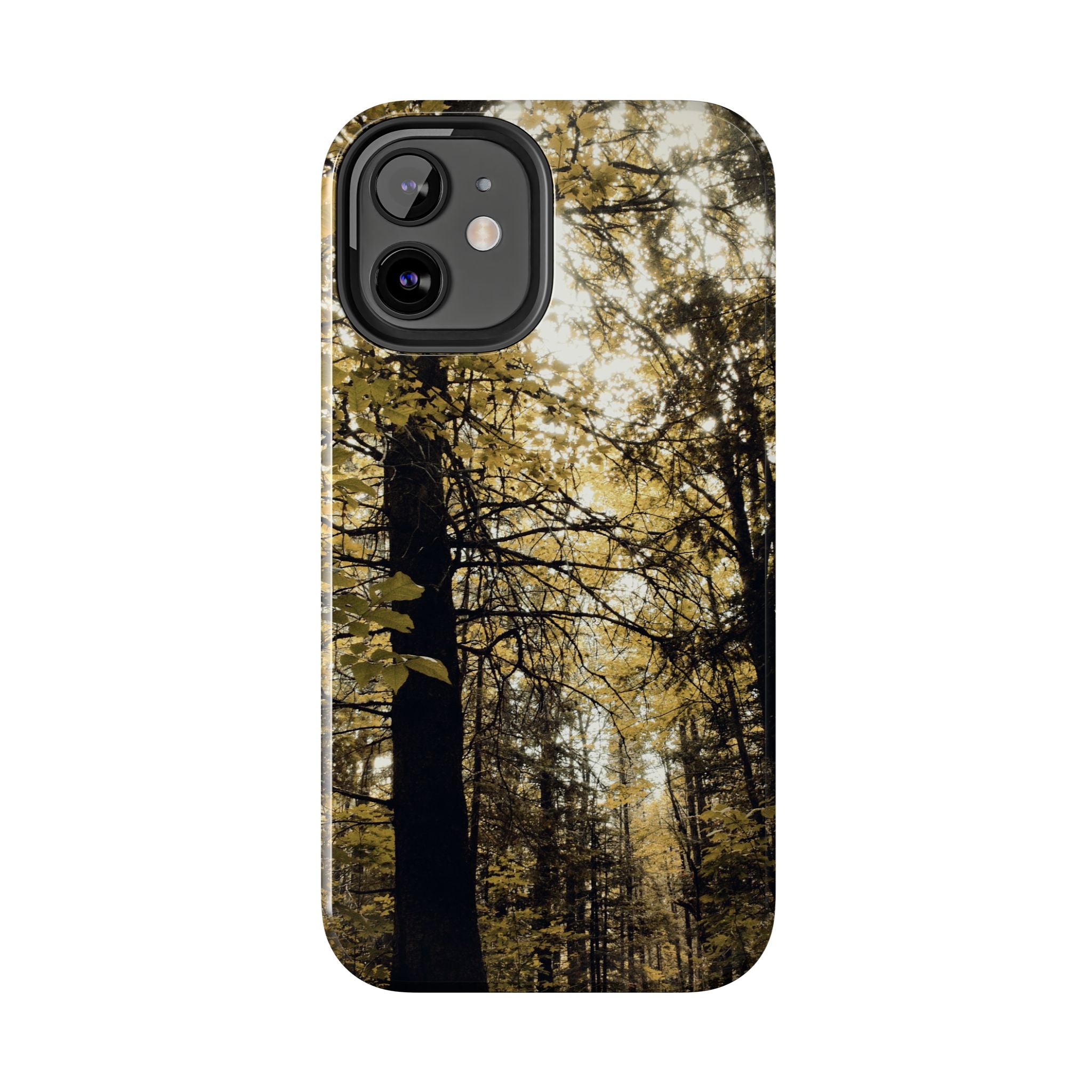 WildHooman - Forest Trail Maine- Tough Case